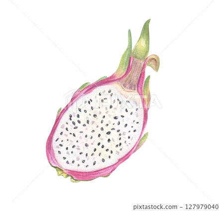 Fresh pink pitahaya half with juicy white flesh and black seeds watercolor illustration isolated background. Sweet dragon fruit for healthy food poster, tropical recipe, exotic fruit packaging 127979040