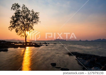 Silhouette tree on beach with motion wave at sunset, Krabi 127979130