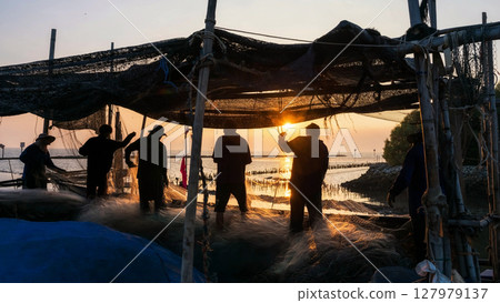 Silhouette fishermen pulling fishing nets in dock at sunset, Bang Pu 127979137