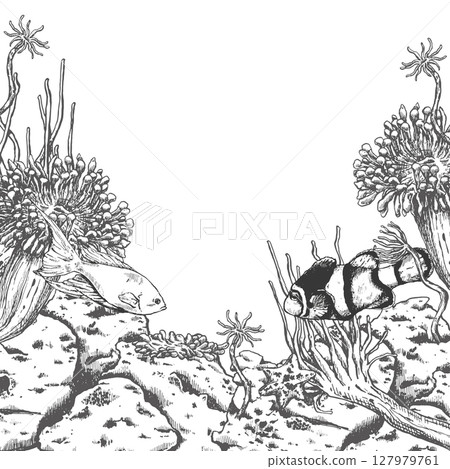 Vector frame of ocean floor with anemones and fishes Vector frame of ocean floor with anemones and fishes 127979761