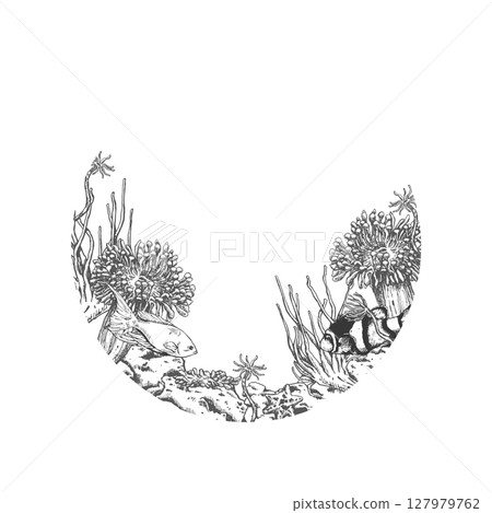 Vector round composition of sea anemones and fishes Vector round composition of sea anemones and fishes 127979762