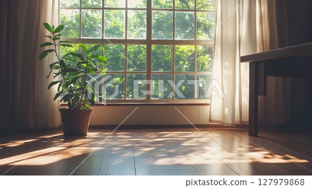 sunlit room with plant and wooden floor 127979868