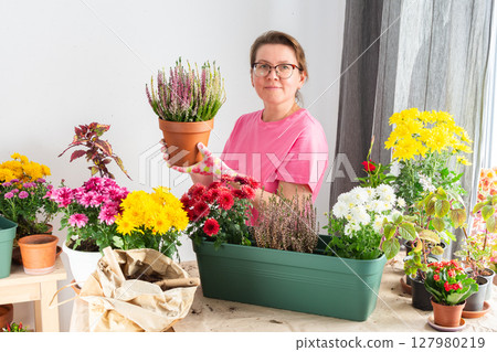 Woman 50 years old transplanting autumn flowers heather and chrysanthemums into pots and holding a pot with a heather and smiling, decorating a home terrace or balcony with flowers Woman 50 years old transplanting autumn flowers heather and chrysanthemums into pots and holding a pot with a heather and smiling, decorating a home terrace or balcony with flowers 127980219