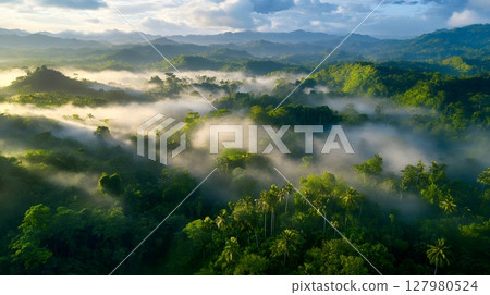 Misty Rainforest at Sunrise. 127980524