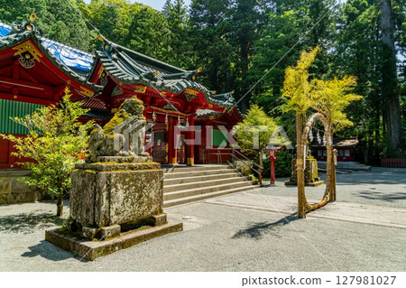 綠樹環繞的箱根神社 127981027