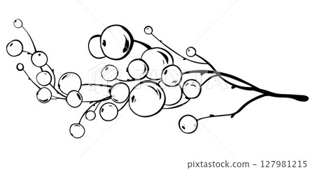 Minimalist line art illustration of a single branch with small berries. Black outline drawing, isolated on white background. Perfect for botanical designs, food, and nature themed projects. 127981215