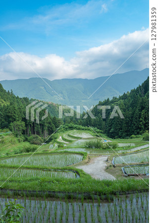 [德島]橿原梯田[上勝町] 127981359