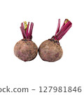 purple beetroot isolated on white background 127981846
