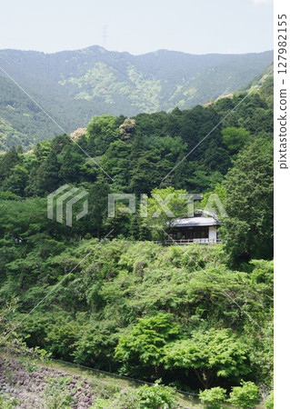 愛媛縣新居濱市峰之都別子泉樹亭 127982155