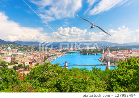 Aerial Panorama of Budapest with Chain Bridge, Parliament and seagull over the Danube, Hungary 127982494