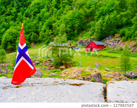 Norwegian flag on green nature Norwegian flag on green nature 127983587