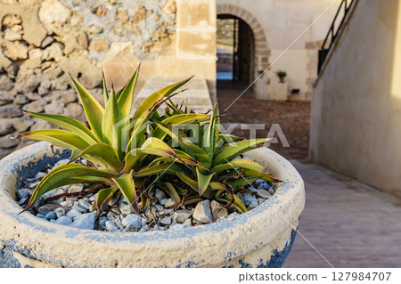 Guardias Viejas castle, internal courtyard. Almeria Spain Guardias Viejas castle, internal courtyard. Almeria Spain 127984707