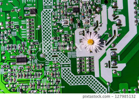 A daisy growing through a computer motherboard, energy consumption by artificial intelligence concept, environmental impacts 127985132