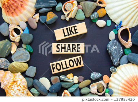 Like share follow symbol. Concept words Like Share Follow on beautiful wooden blocks. Beautiful black background. Sea shells and sea stones. Business like share follow concept. Copy space. 127985420