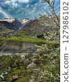 Blooming cherry trees against the mountains on the Georgian Military road. High quality photo 127986102