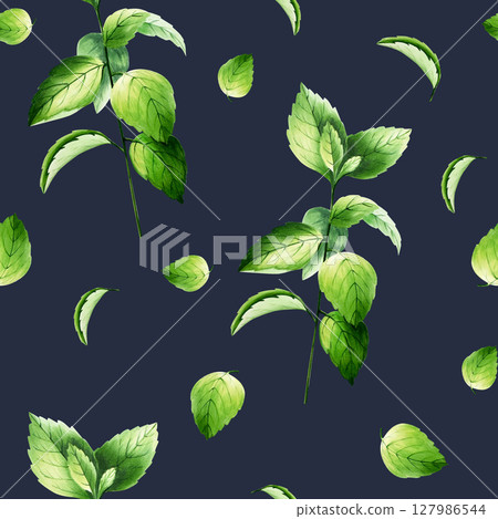 Seamless pattern sprigs of fresh mint. Watercolor hand drawn herb, nettle branch isolated on transparent background illustration. For designers, menu, decoration, food blog, ecofriendly branding 127986544