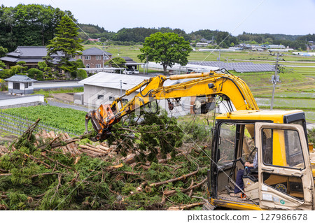 使用林業機械 Gripple 配件進行砍伐工作 使用林業機械 Gripple 配件進行砍伐工作 127986678