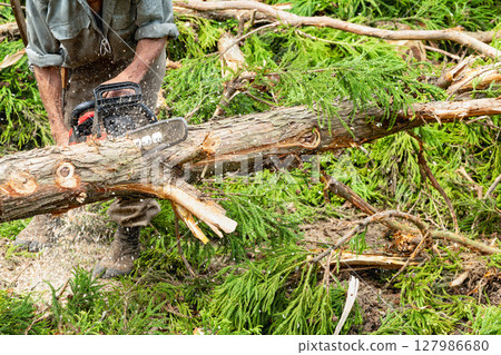 用電鋸在後山上伐木 127986680