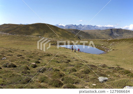 Alpine pasture with small pond, Nockberge, Carinthia, Austria 127986684