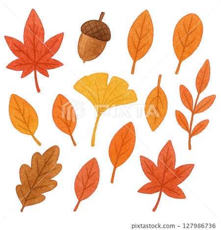 一組秋天的落葉和橡實剪紙 127986736