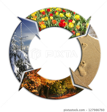 Four Seasons, cycle. High quality photo Four Seasons, cycle. High quality photo 127986760