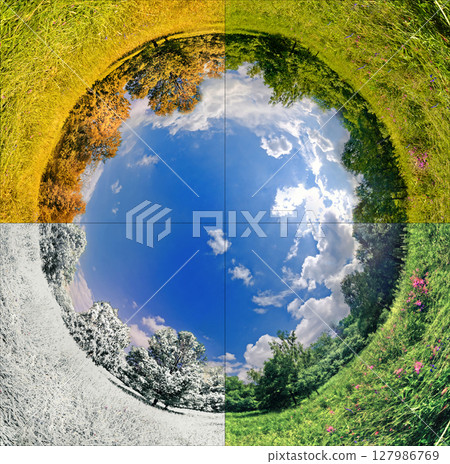 Four seasons of year. Set of vertical nature banners with winter, spring, summer and autumn scenes.  127986769