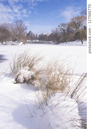 Central Park, Manhattan, New York City, NY after winter snowstorm. High quality photo 127986770