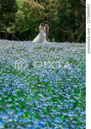 在粉蝶盛開的公園舉辦婚禮～藍天白雲下的濱名湖花園公園2 127986993