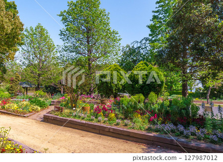 園藝 春天百花齊放 濱名湖花園公園 3 127987012