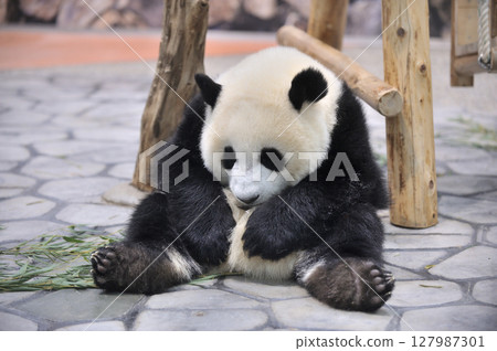 在長濱放鬆身心 在長濱放鬆身心 127987301