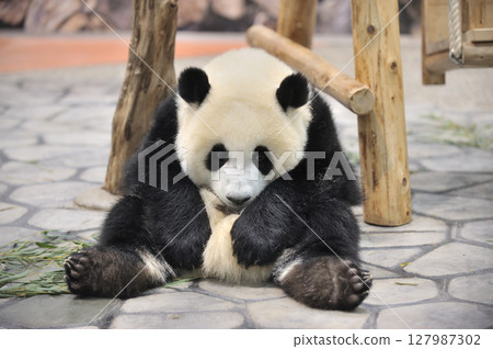 在長濱放鬆身心 在長濱放鬆身心 127987302