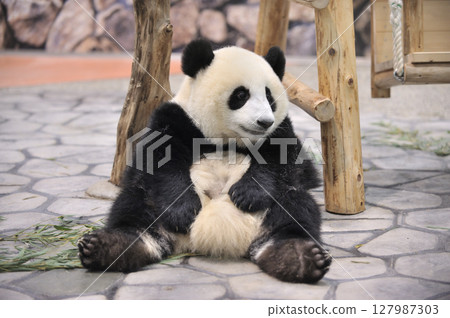 在長濱放鬆身心 在長濱放鬆身心 127987303