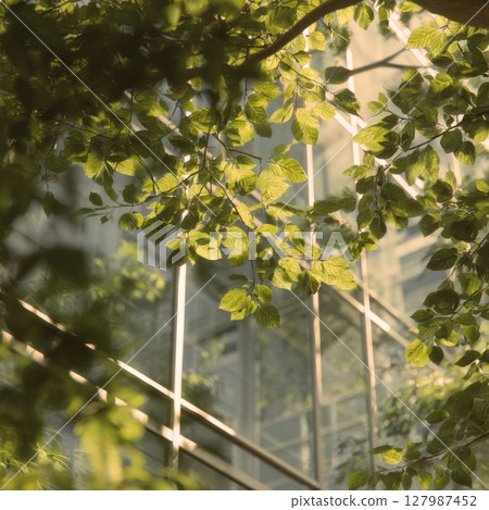 Innovative Green Architecture: Modern Glass Building Integrated with Lush Greenery, Symbolizing Sustainable Urban Design, Eco-Friendly Workspaces, and Harmony with Nature for a Healthier Environment 127987452