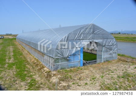 Agricultural plastic house 127987458