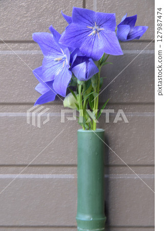 Hospitality with bellflowers 127987474