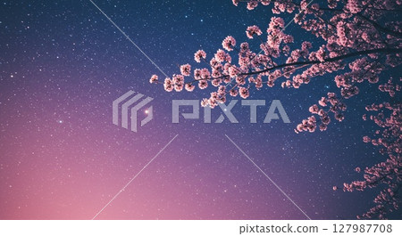 Cherry blossom branches gracefully spread out, soft pink petals falling into the night sky. 127987708