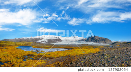 Impressive view of Fjallsarlon Glacier Lagoon and colour moss at foreground. 127988064