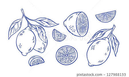 Set of hand draw lemon with leaves vector illustration. Doodle sliced citrus fruit isolated. La dolce vita. Italy summer sketch style 127988133
