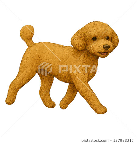 散步玩具貴賓犬的插圖 127988315