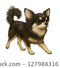 Illustration of a standing chihuahua 127988316