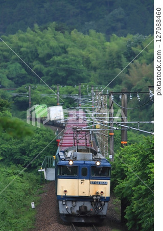 A freight train towed by EF64-1033 runs through the Kisoji road in the rainy season, where fresh greenery is beautiful. Photographed on July 1, 2025 127988460