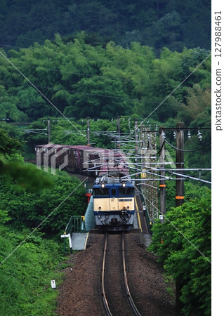 一列由EF64-1033牽引的貨運列車在雨季的木曾路行駛，沿途綠意盎然，景色宜人。拍攝於2025年7月1日 127988461