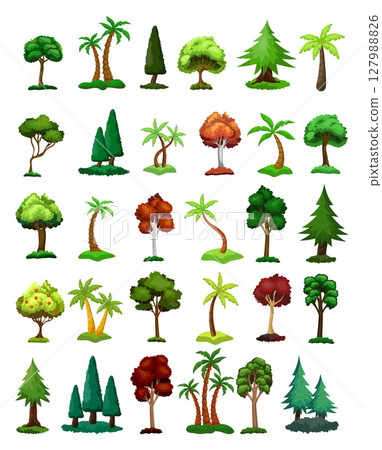 Seth trees from different climatic zones on a white background - Vector Seth trees from different climatic zones on a white background - Vector 127988826