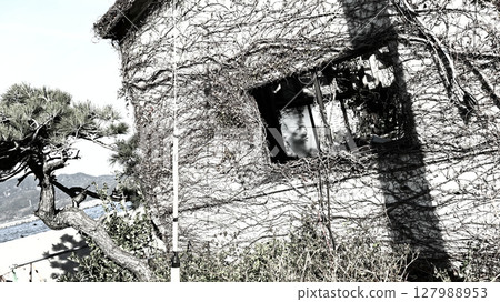 Abandoned hut on the beach 127988953