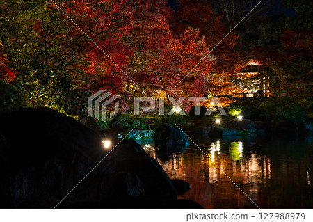 Autumn leaves illumination at Kokoen Garden in Himeji, Hyogo Prefecture Autumn leaves illumination at Kokoen Garden in Himeji, Hyogo Prefecture 127988979
