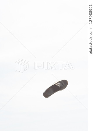 飛向天空的鞋子 127988991