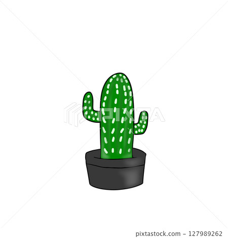 仙人掌植物多肉植物 127989262
