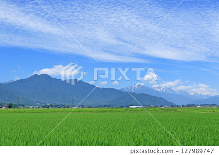 Summer in the Northern Alps, Ushiro-Tateyama mountain range Summer in the Northern Alps, Ushiro-Tateyama mountain range 127989747