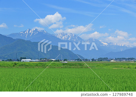 夏季北阿爾卑斯立山山脈 127989748