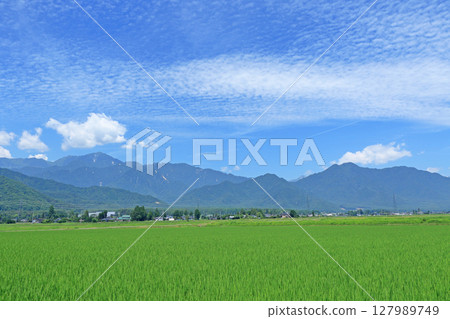 安曇野:夏季的北阿爾卑斯山和鄉村 安曇野:夏季的北阿爾卑斯山和鄉村 127989749